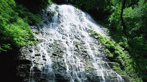 独特可靠性精密